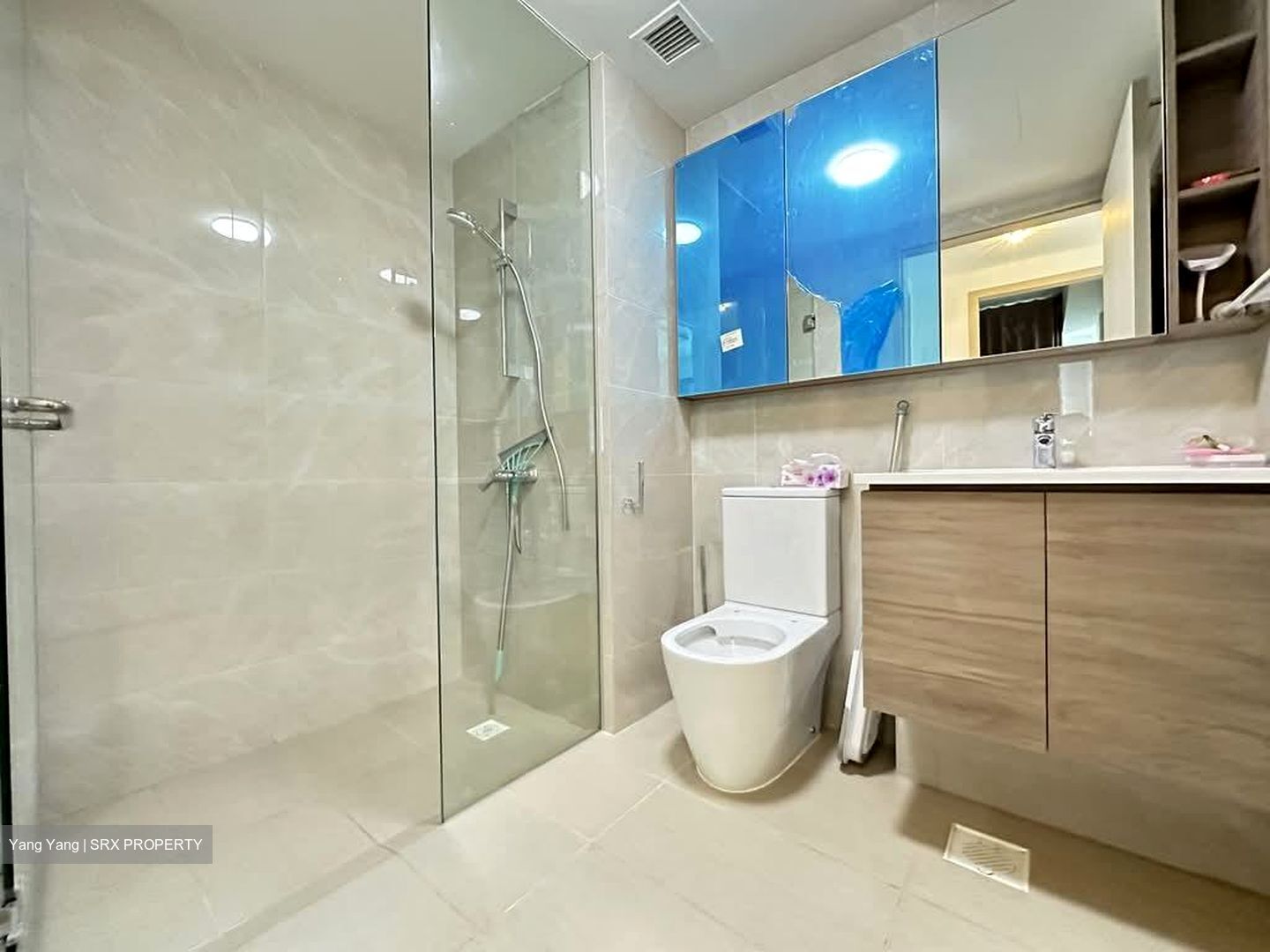 Treasure at Tampines (D18), Condominium #567649821